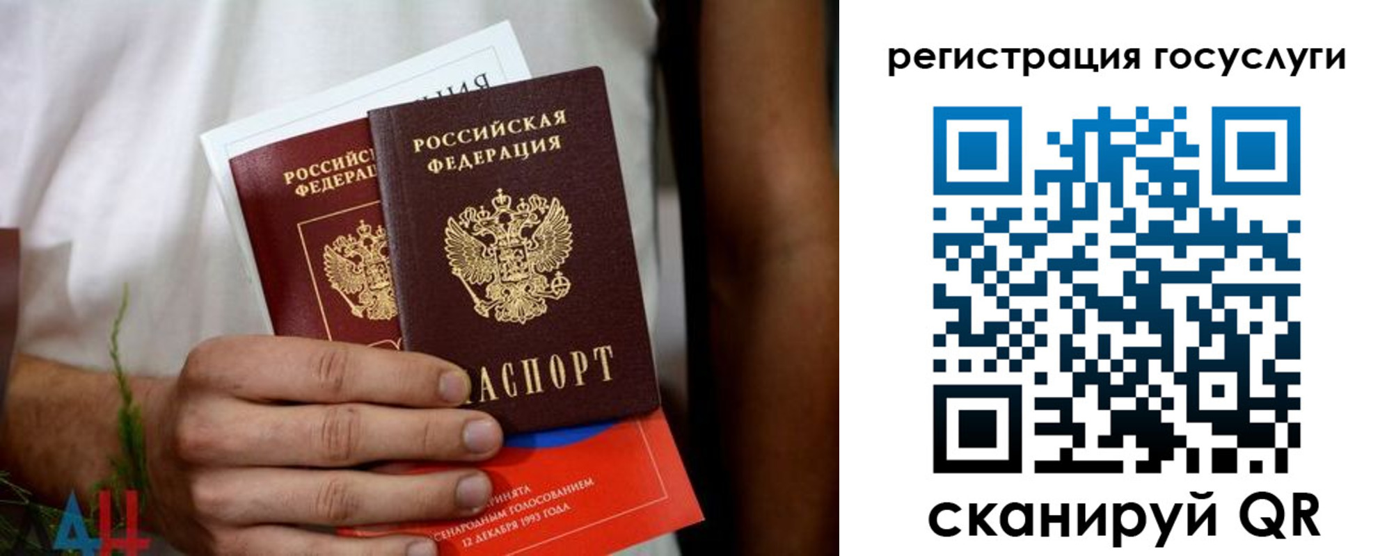 регистрация в Курской области